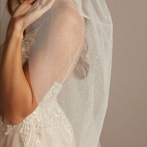 Fingertip length David’s Bridal Glitter Veil